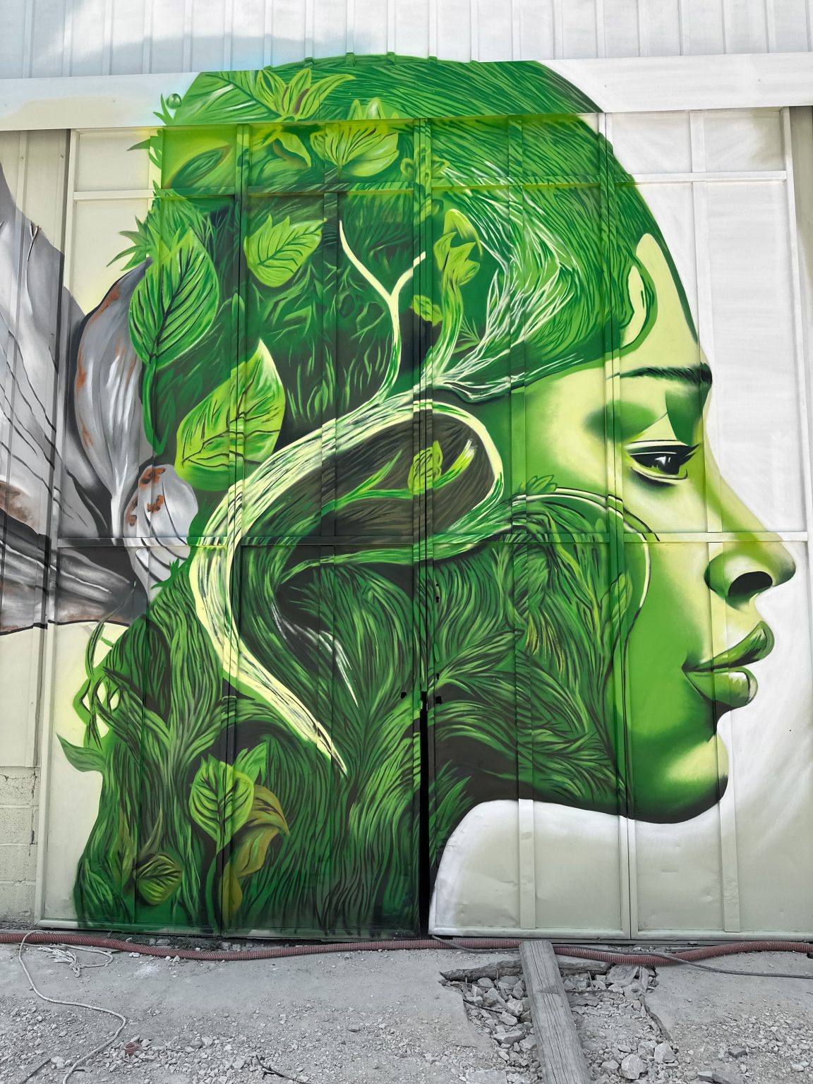 artiste-peintre-perpignan-66