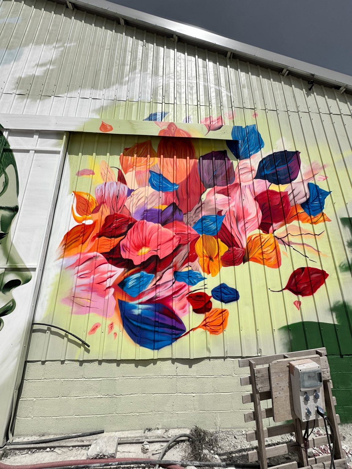 decoration-artistique-perpignan-66