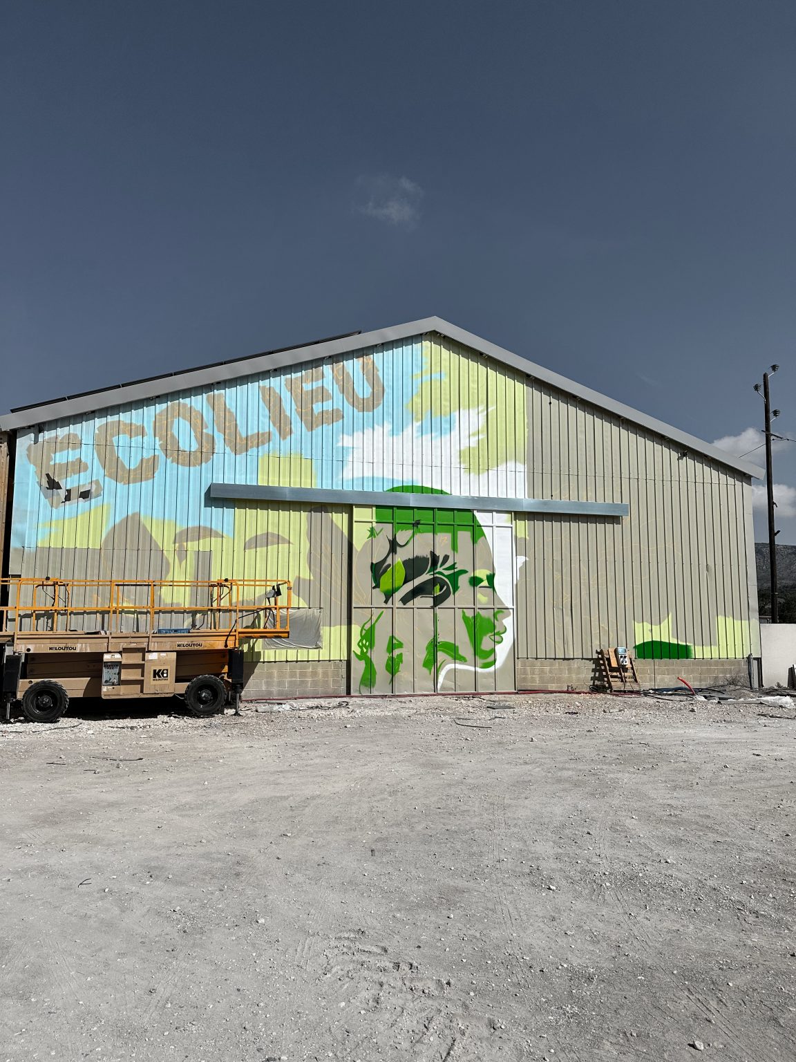 fresque-murale-artistique-66