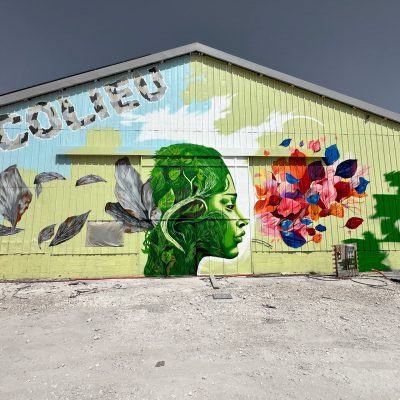 fresque-murale-artiste-perpignan